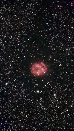 IC5146 klein