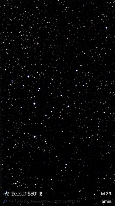 M39 WS
